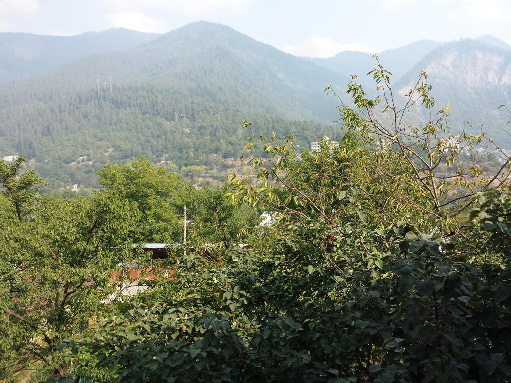 Bacho,S Cottage Borjomi Luaran gambar